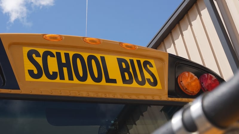 Duluth school bus