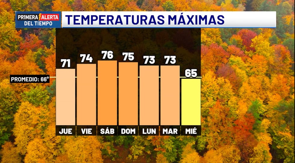 Temperaturas máximas - próximos siete días