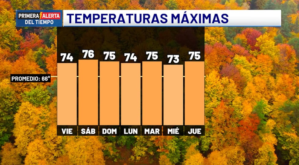 Temperaturas máximas - próximos siete días