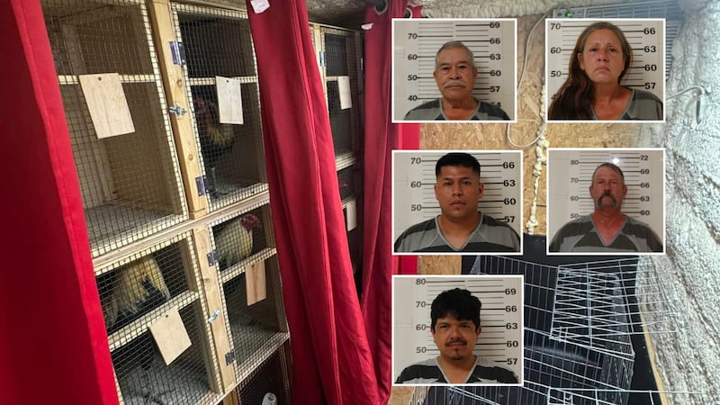 9 personas arrestadas durante una presunta pelea de gallos en el este de Texas