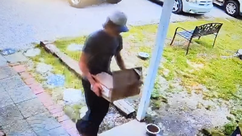 Shelter asks for help identifying man who allegedly left newborn puppies outside