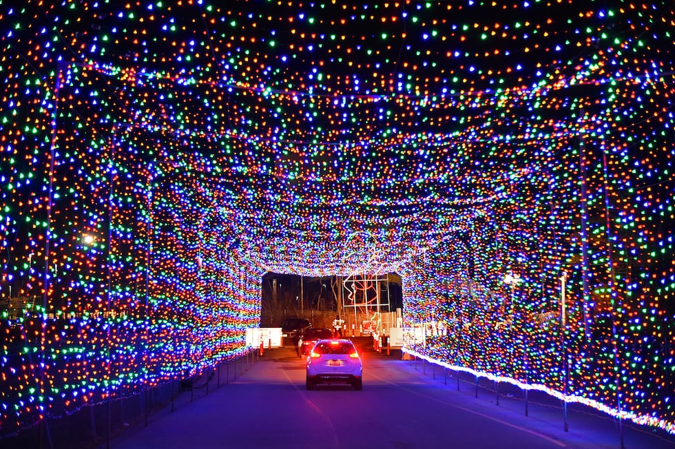Magic of Lights