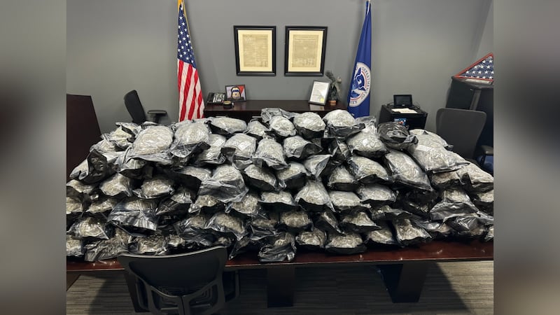 ALEA: 185 lbs. of marijuana seized during traffic stop, driver arrested