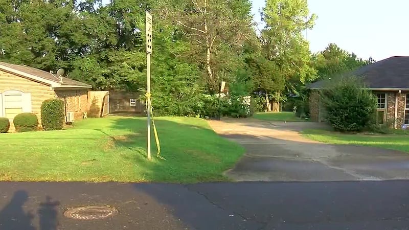 Tuscaloosa homicide investigation