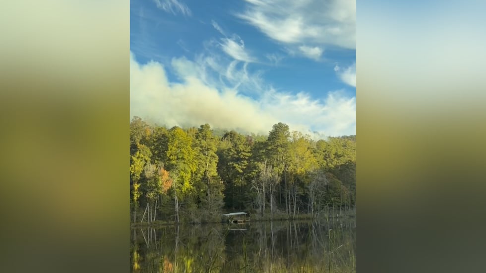 Las cuadrillas combaten un gran incendio de vegetación en el Parque Estatal Oak Mountain.