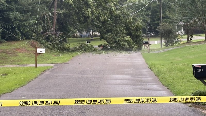 Tree down at the 2100 block Edenwood Dr, Hueytown.