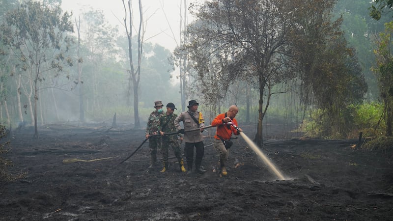 Bomberos rocían agua para apagar incendios en el bosque de Kubu Raya, Indonesia, el 12 de...