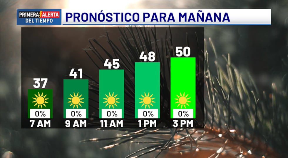 Pronóstico para mañana