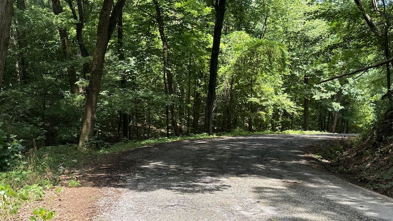A driver found skeletal remains in Brookside, Alabama on July 4, 2026.