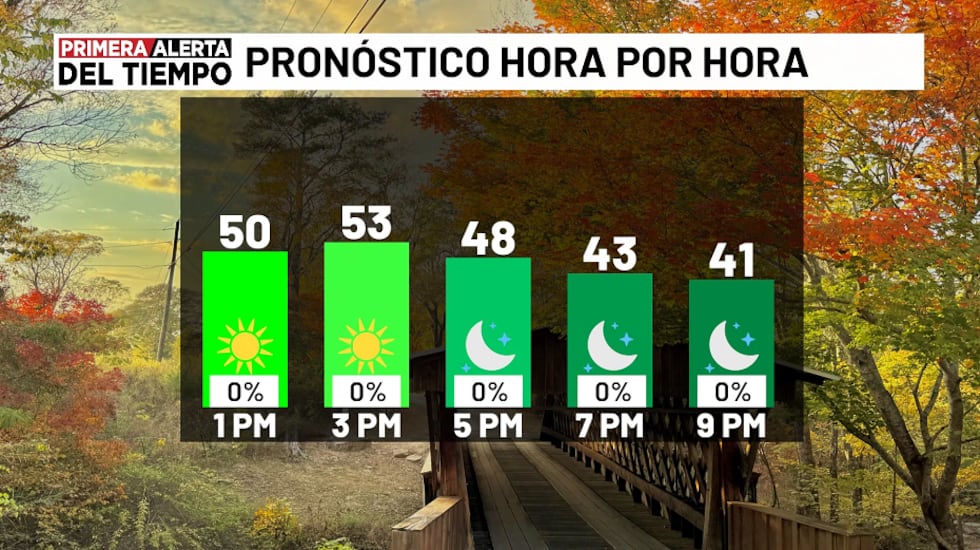 Pronóstico hora por hora