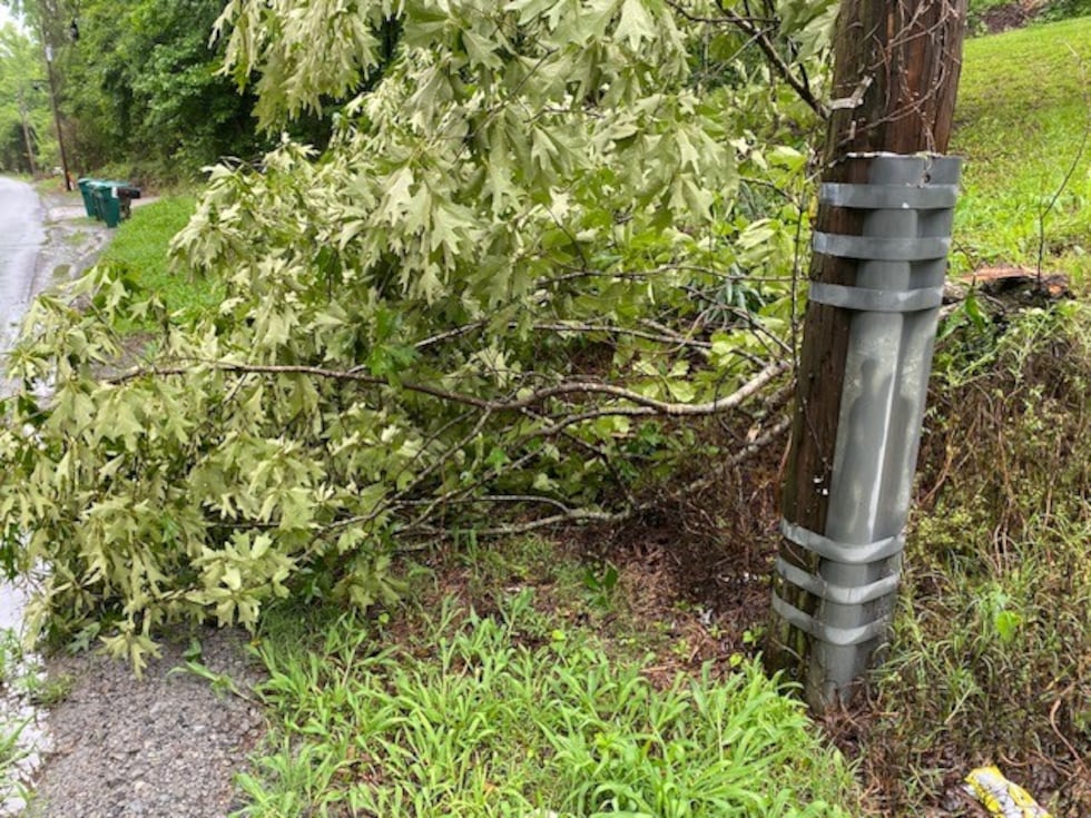Las fotos muestran un árbol pequeño derribado en Johns Road, en Brookwood, y cables eléctricos...