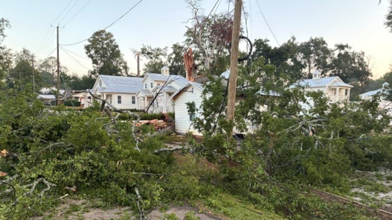 Storm damage in Montevallow Tuesday night left trees and power lines down.