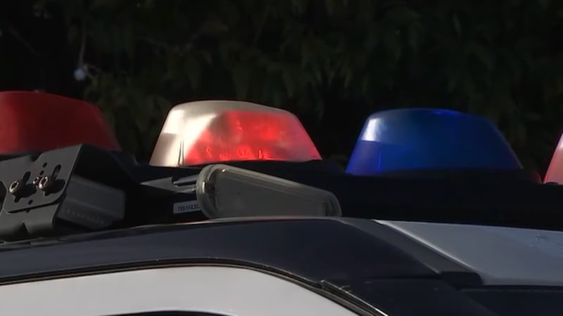 File photo of Las Vegas Metro Police.