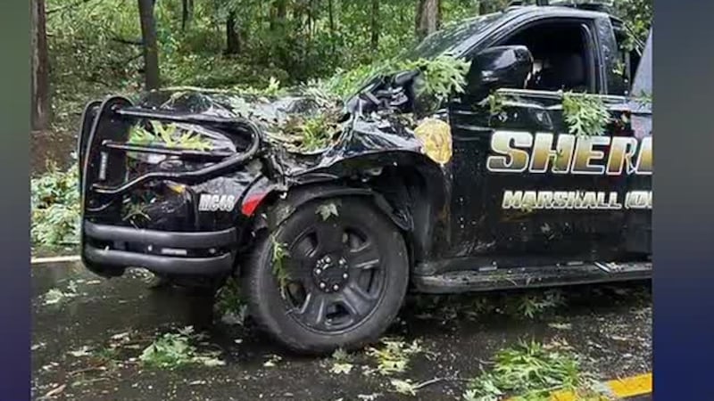 Officer hurt his hand when tree crashed on Highway 78, K9 not injured