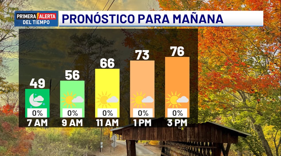 Pronóstico para mañana