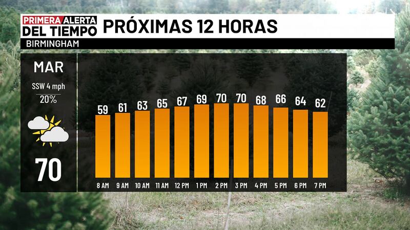 Próximas doce horas