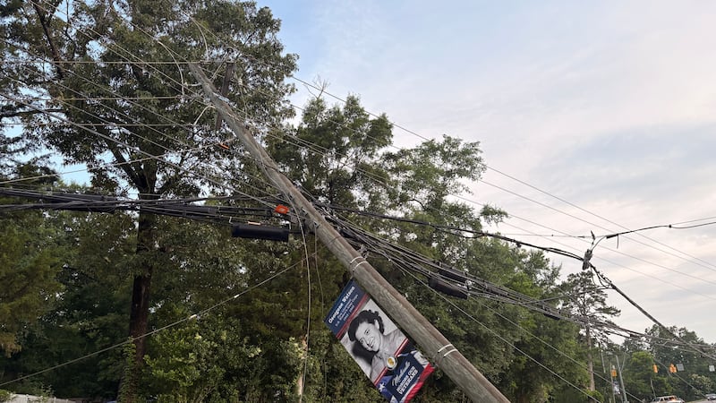 Trees and power lines were knocked down across the state Monday afternoon, including on...
