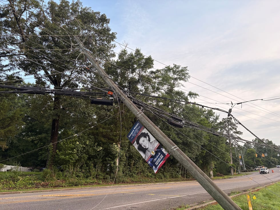 Árboles y líneas eléctricas fueron derribados en todo el estado el lunes por la tarde,...