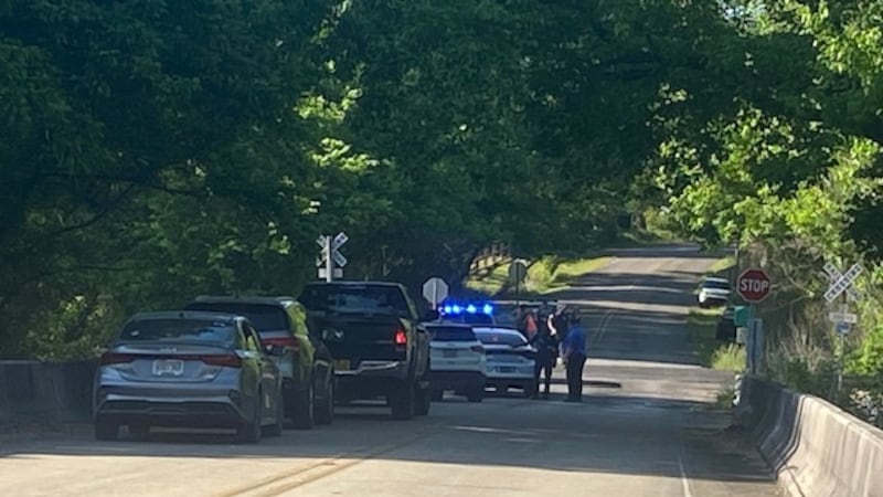 Person struck by train in Graysville