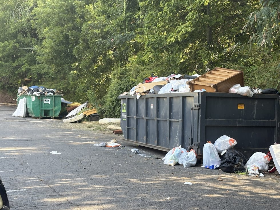 The Willows Apartmetn at Hoover