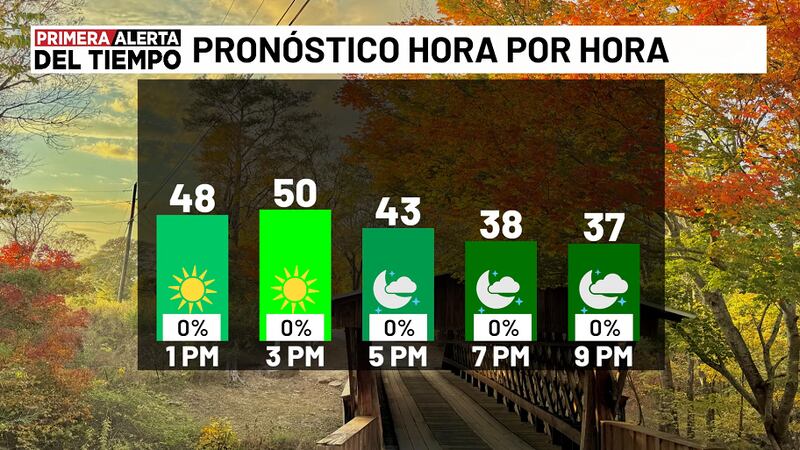 Pronóstico hora por hora - hoy