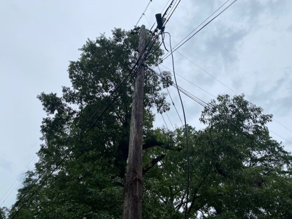 Las fotos muestran un árbol pequeño derribado en Johns Road, en Brookwood, y cables eléctricos...