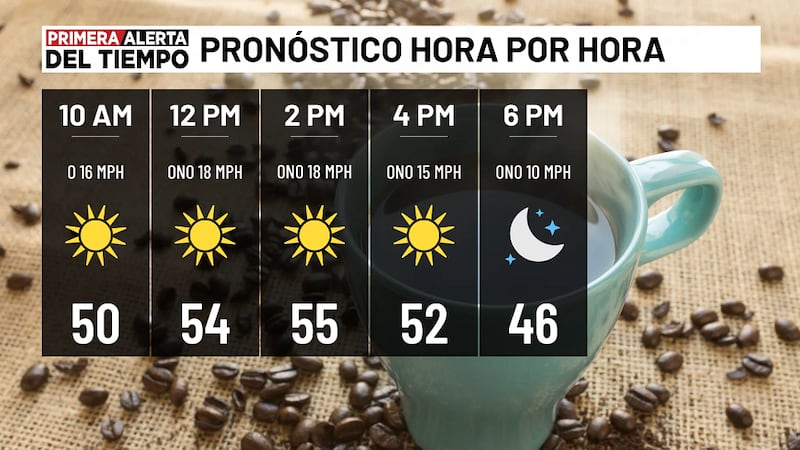 Pronóstico hora por hora - hoy