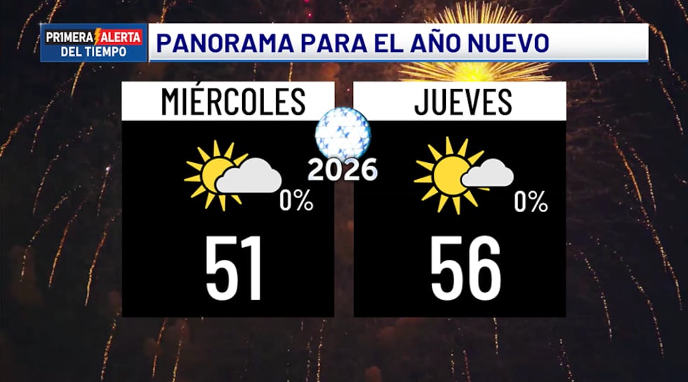 Panorama para el año nuevo