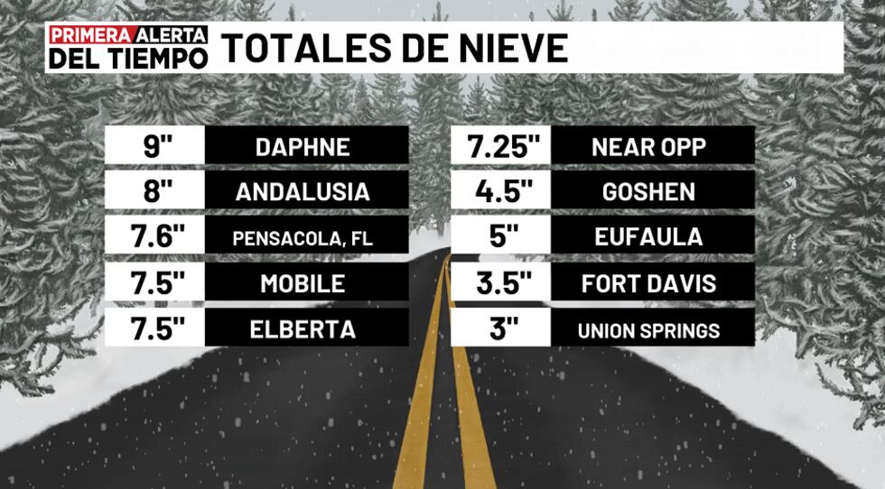 Reporte de nieve preliminar