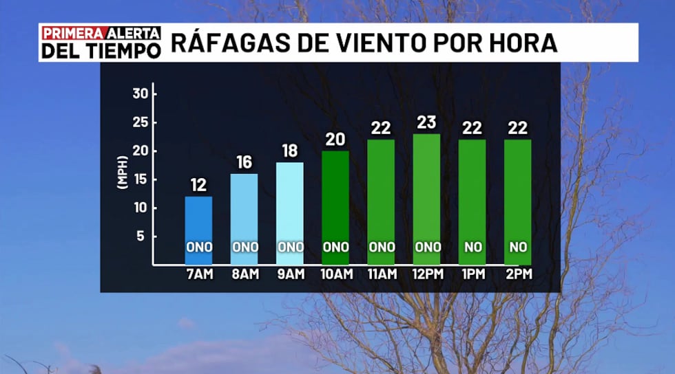 Ráfagas de viento - mañana