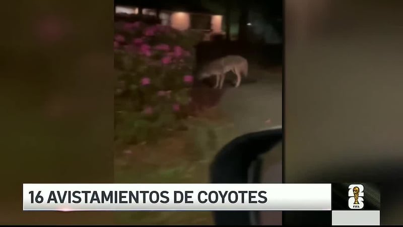 Autoridades piden tener precaución.