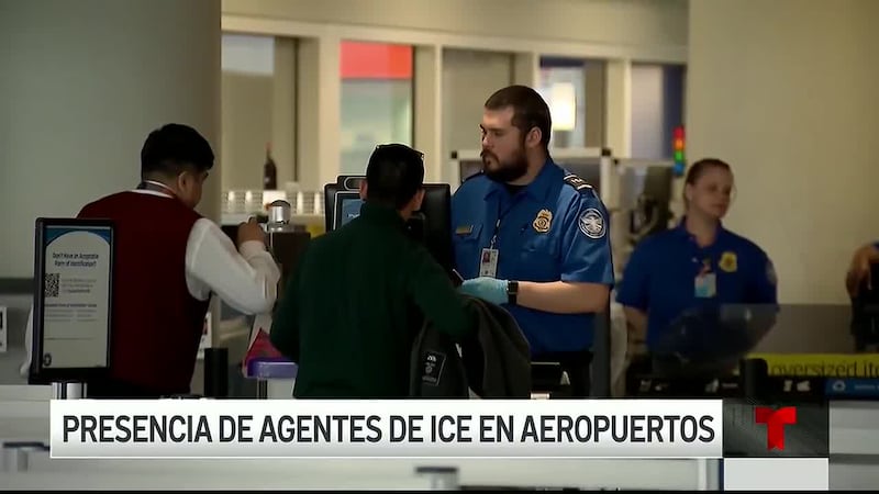 Agentes de ICE fueron desplegados en distintos aeropuertos del país.