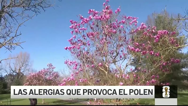 Iriana Guerrero nos amplia.