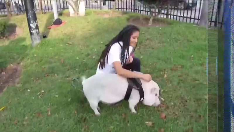 Top 5 con Miguel Ángel Antoñanzas | 30 de marzo de 2026