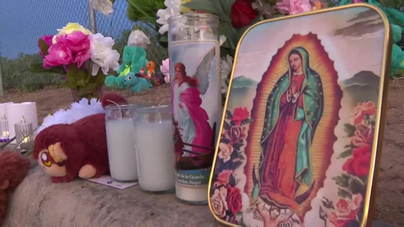 Hallan a niños de 5 y 7 años muertos en un auto que estaba en llamas. En el lugar arrestaron a...