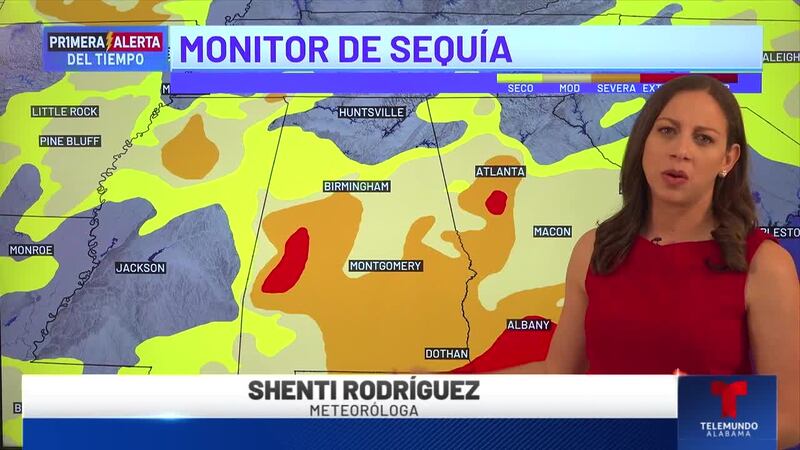 Primera Alerta del Tiempo: Pronóstico para todo el estado